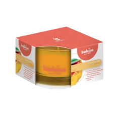 Ароматическая свеча Bolsius 50/80 True Scents Mango