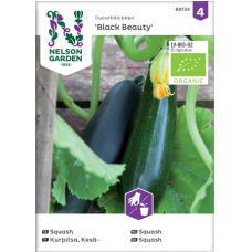 Семена цукини Nelson Garden Seed Pumpkin Summer Black Beauty