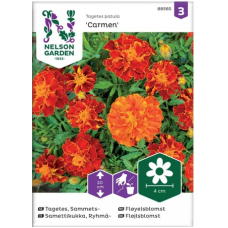 Семена цветов бархатцы Кармен Nelson Garden Seed Velvet Flower 