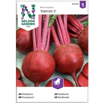 Семена свеклы Детройт 2 Nelson Garden Seed Beetroot