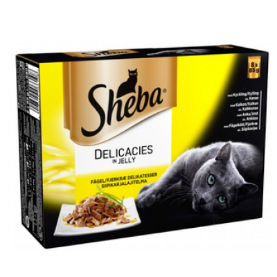 Влажный корм для взрослых кошек Sheba Delicacies 8x85г птица